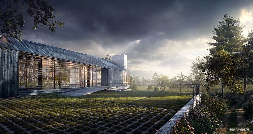 Martha Shiller's Vineyard 2