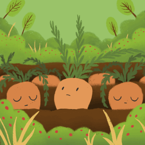 My project for course: Illustration and GIF Creation on Procreate 1