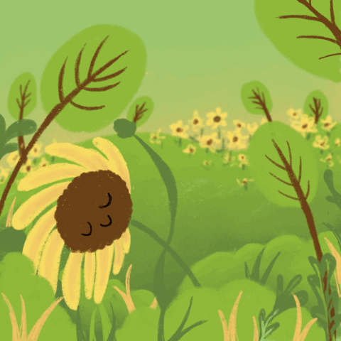 My project for course: Illustration and GIF Creation on Procreate 2