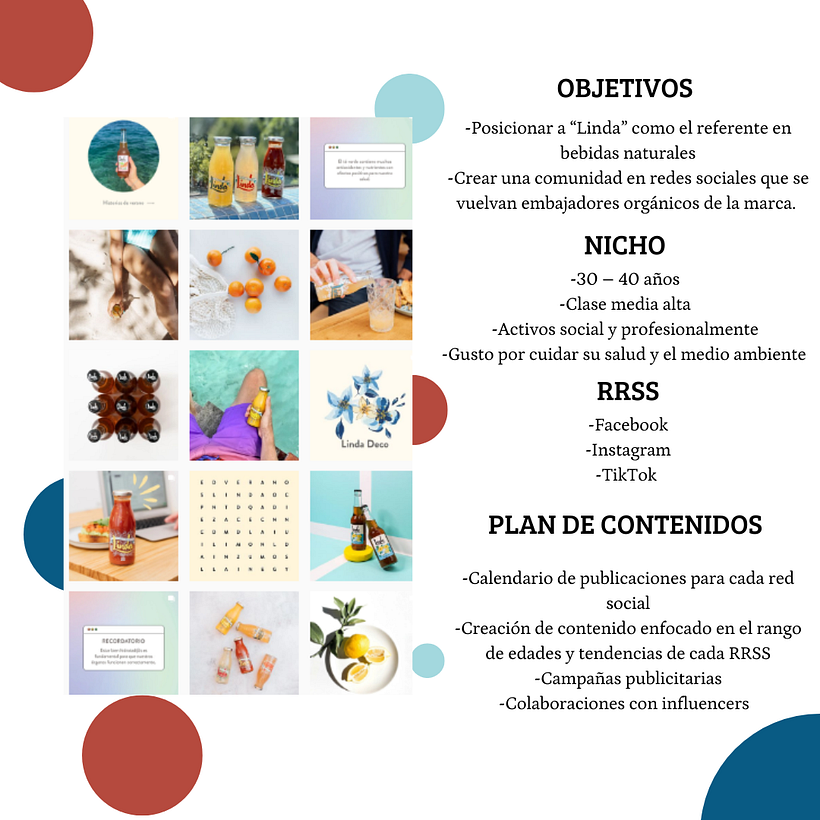 Introducción al social media / Proyecto Linda 3