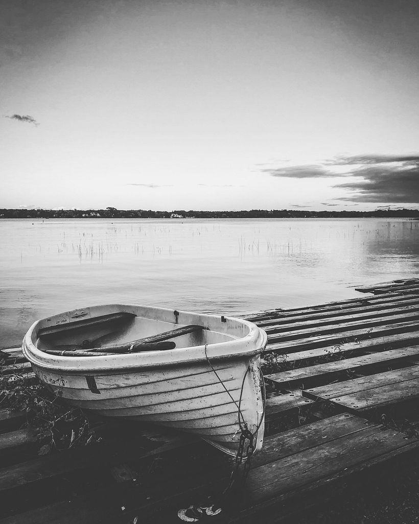 Photograph modified to Black and White to be used to embroider