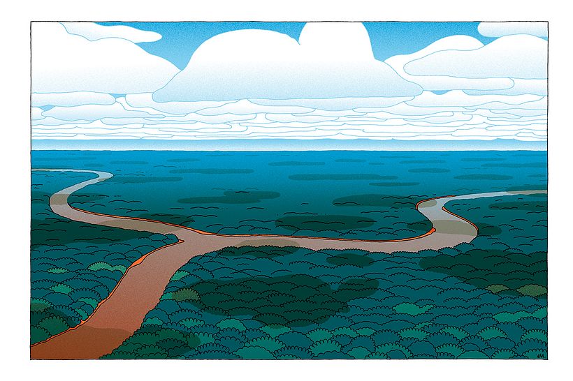 Amazon Rainforest (Brasil)