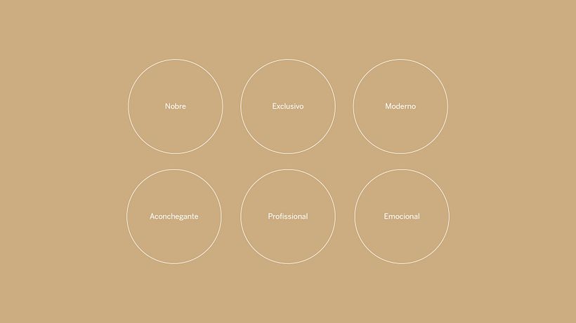 Meu projeto do curso: Introdução ao design de logos: do briefing à apresentação final 4