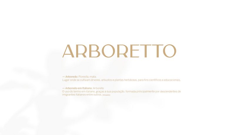 Meu projeto do curso: Introdução ao design de logos: do briefing à apresentação final 11