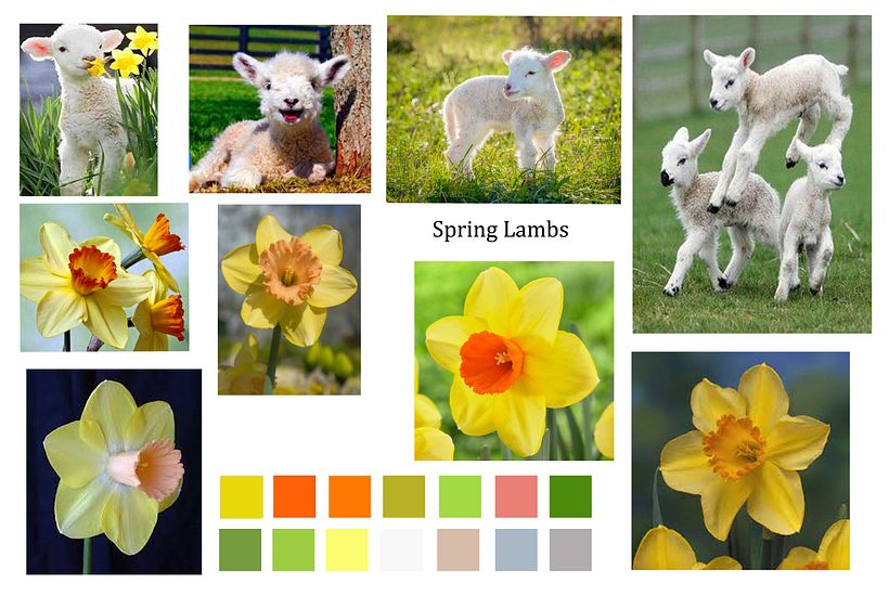 Spring lamb project for some shop windows