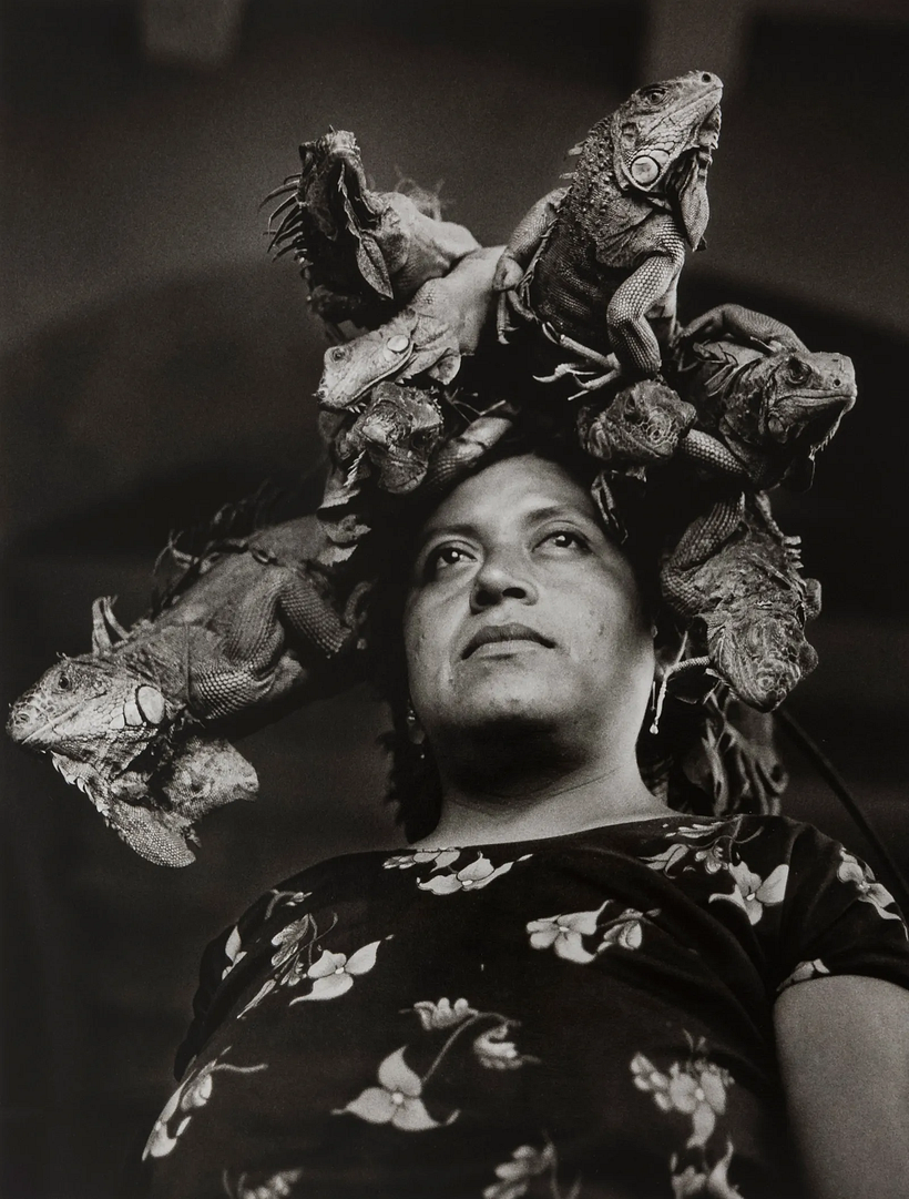 'Nuestra Señora de las Iguanas', una imagen de Graciela Iturbide.