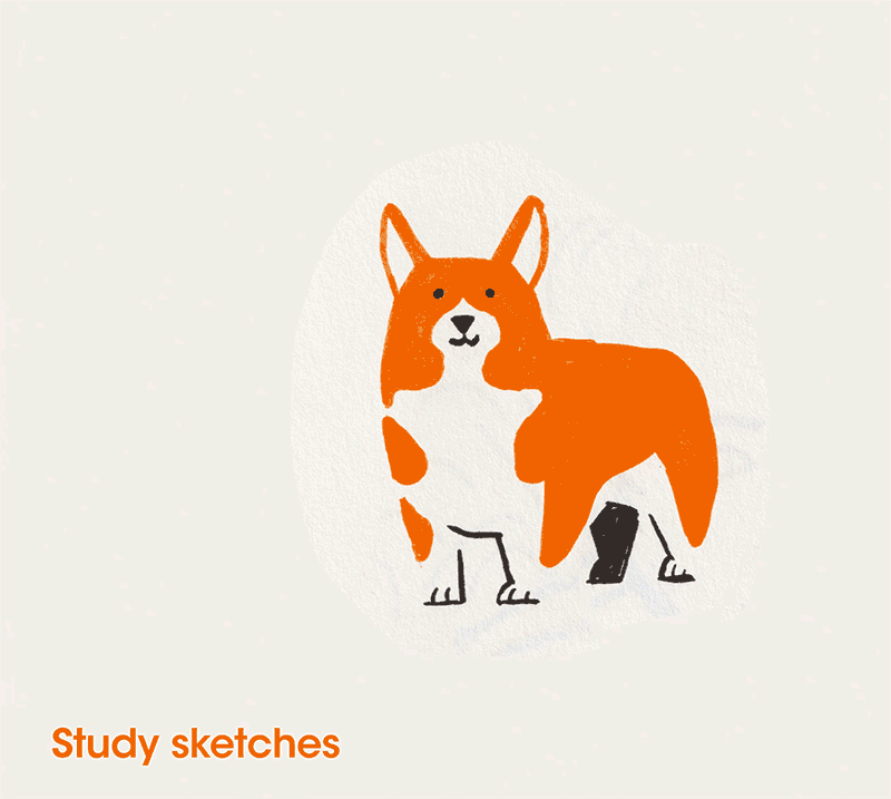 Jumping Corgi 4