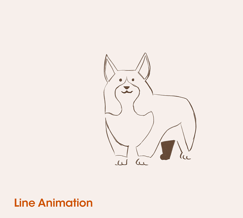 Jumping Corgi 5