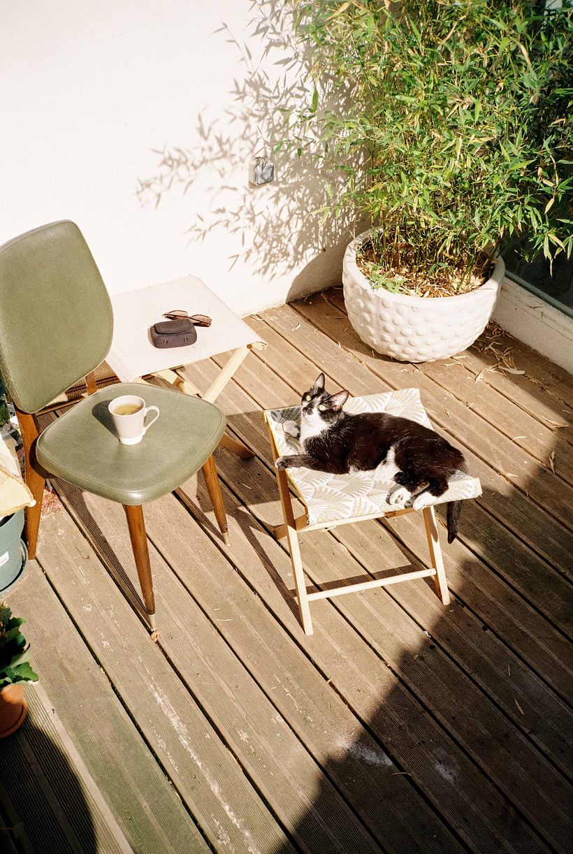 film diary - oh sweet summer 5