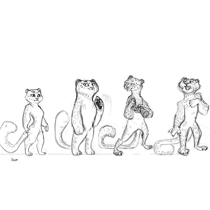 Designing The snow Leopard