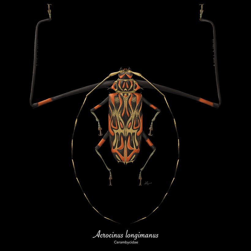 Mi proyecto del curso: Ilustración científica aplicada al diseño de patrones 1