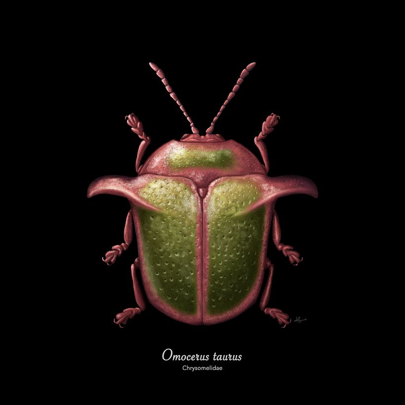 Mi proyecto del curso: Ilustración científica aplicada al diseño de patrones 5