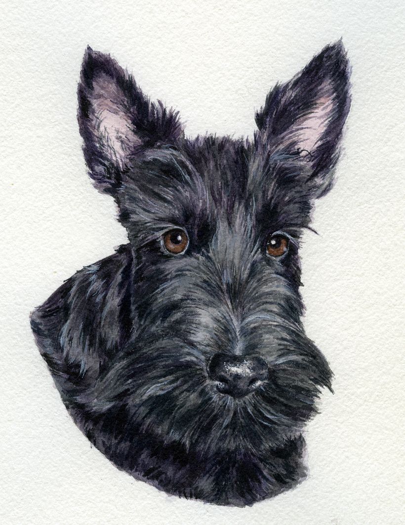 Pepper