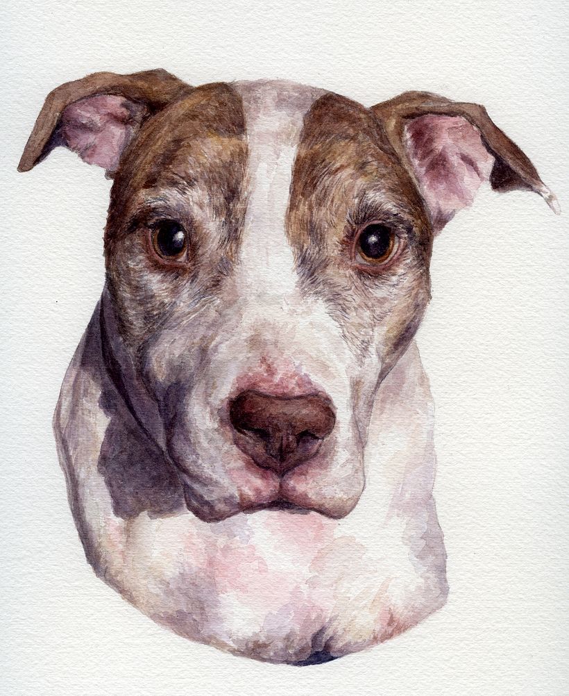 Sadie