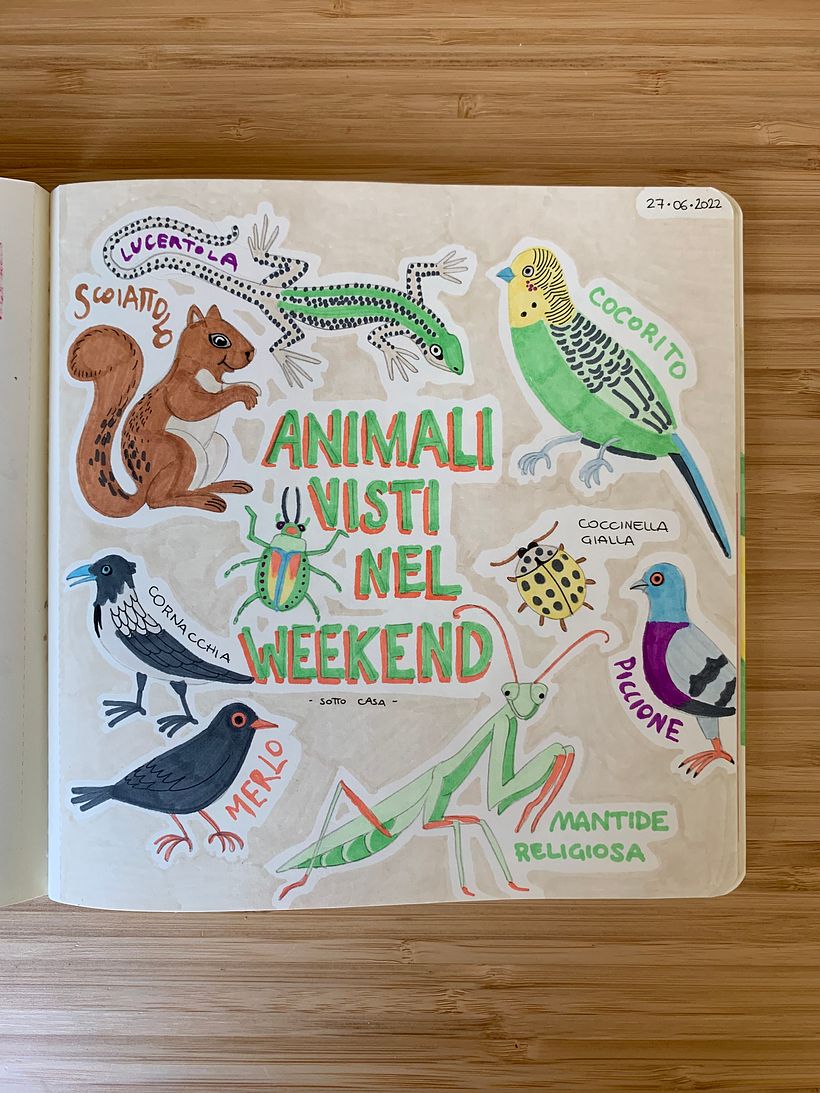 ANIMALS SEEN IN THE WEEKEND