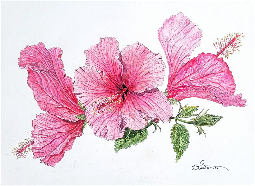 Botanical Composition
