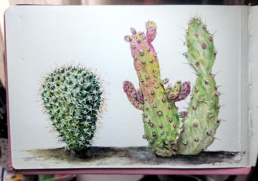Colorful Cactus sketches
