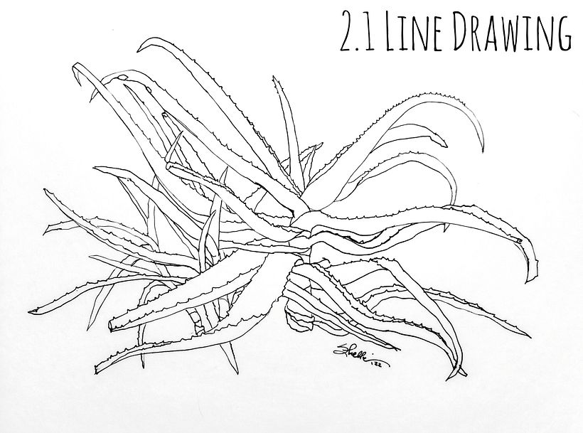 Drawing with a Fineliner