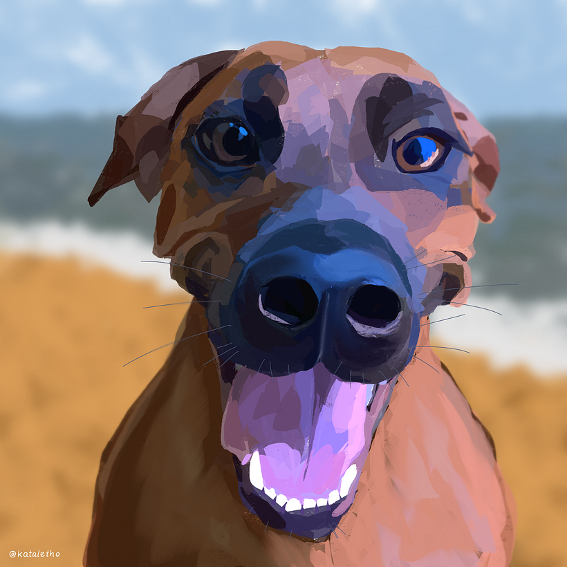 Cadence at the beach