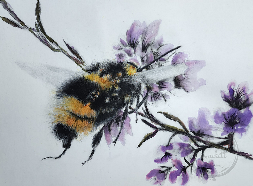 Mr. Monster Bee