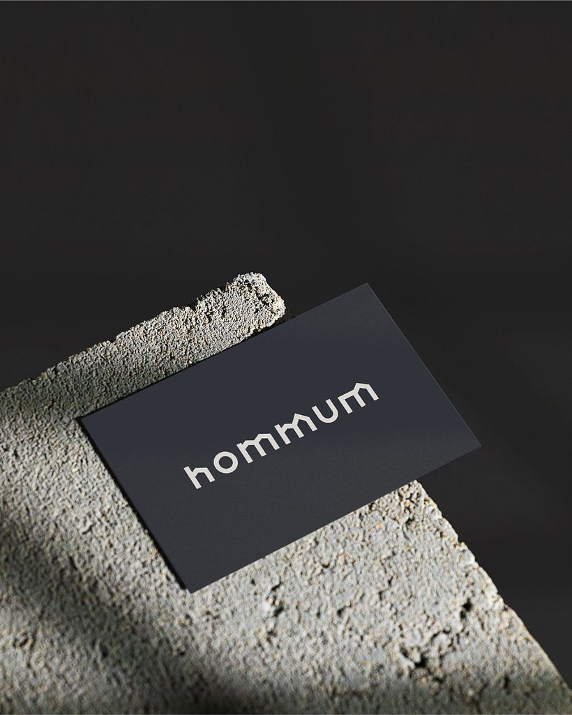 HOMMUM 3