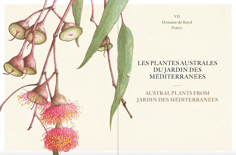 Livre "Inspirations botaniques" 2