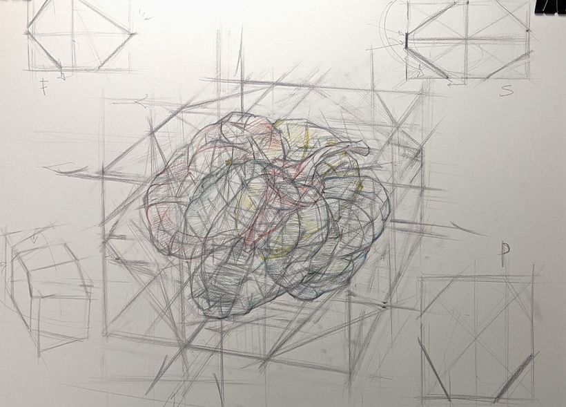 Organic Forms: structural drawing online workshop cover image