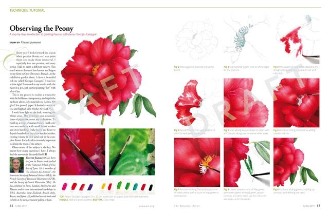 ASBA - American Society of Botanical Artists - Parutions dans la revue trimestrielle de l'ASBA 3