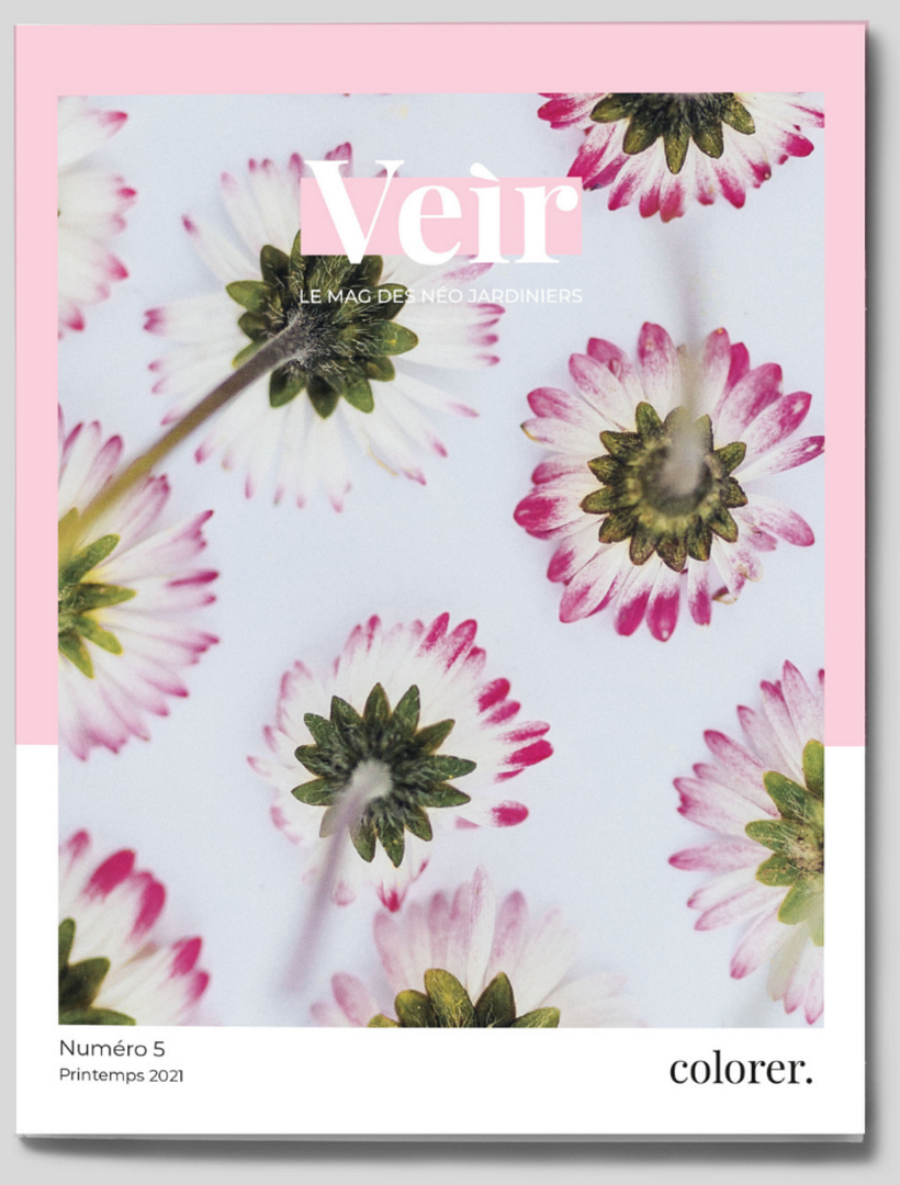 Veir Magazine - 2021