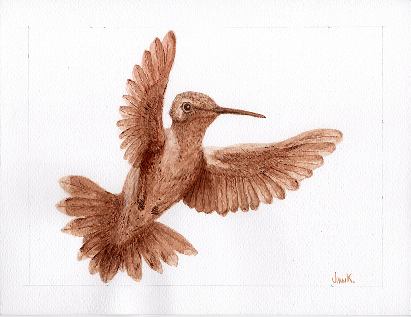 Un colibri en vuelo