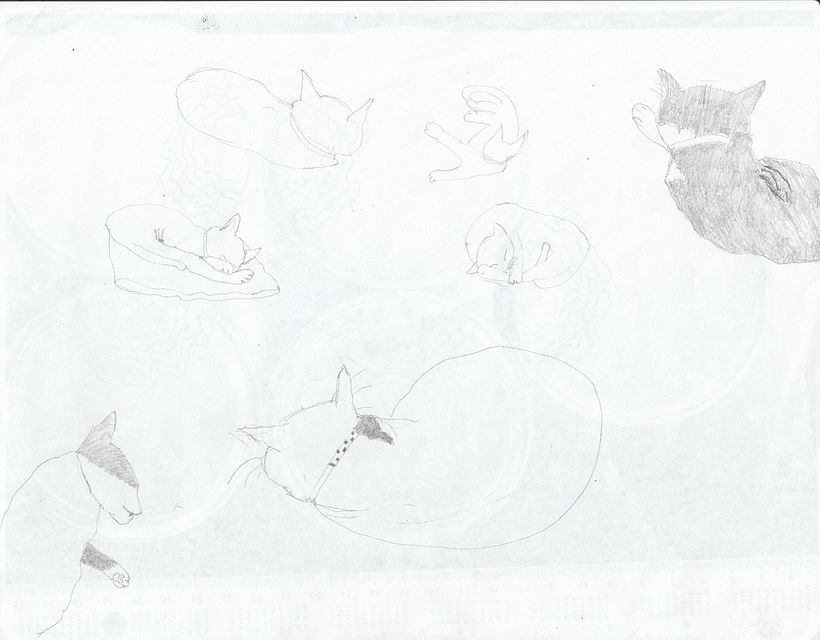 Mi proyecto del curso: Dibujo para principiantes nivel -1 11