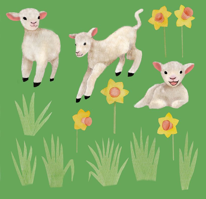 Used sketches to create motifs for double use