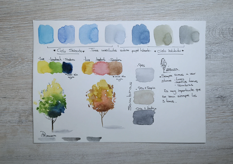 Ejercicio de experimentación sobre tonos, sombras y luces en acuarela hecho por Ana Brenes. 