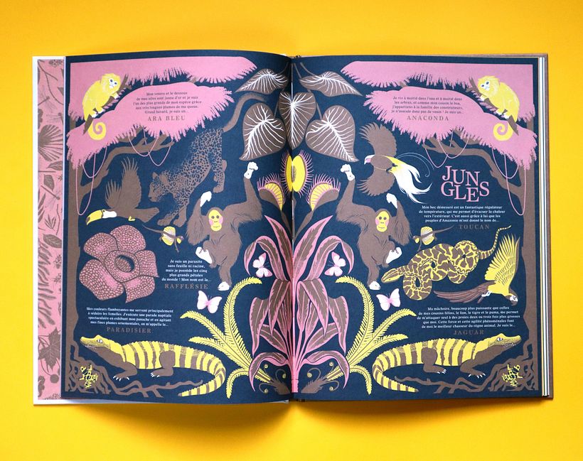 JUNGLES - Double page avec Pantone cuivré mat