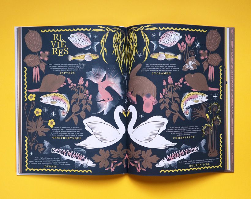 RIVIÈRES - double pages avec Pantone cuivré mat