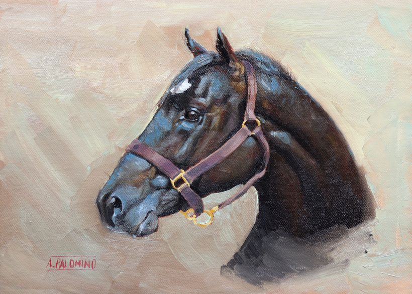 Caballo negro. Óleo sobre lienzo. 2
