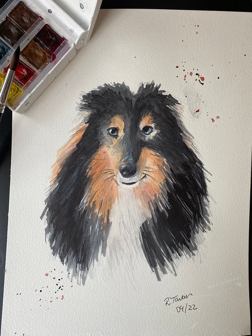 Meu projeto do curso: Retratos expressivos de animais em aquarela 3