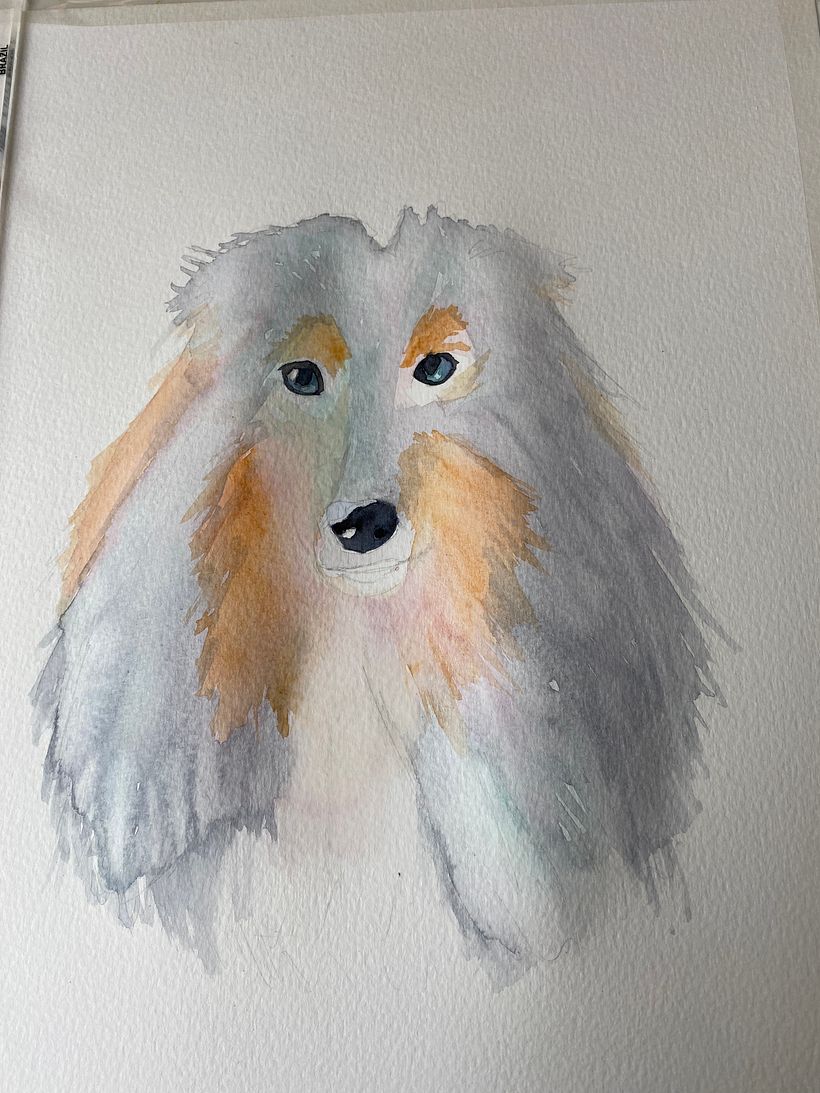 Meu projeto do curso: Retratos expressivos de animais em aquarela 3