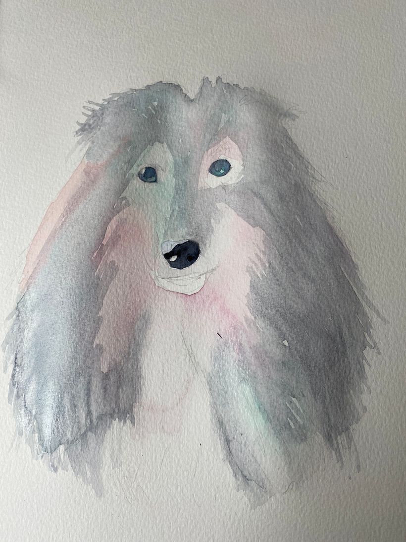 Meu projeto do curso: Retratos expressivos de animais em aquarela 4