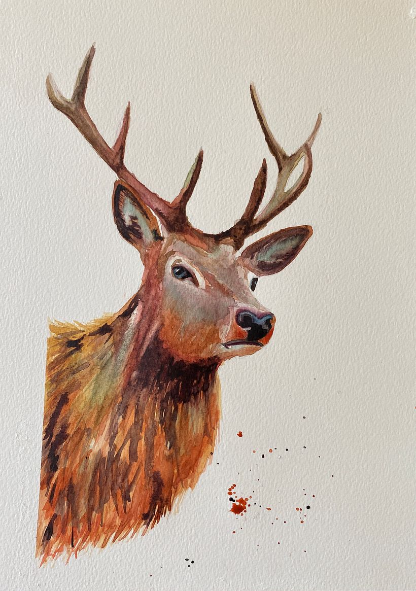 Meu projeto do curso: Retratos expressivos de animais em aquarela 5