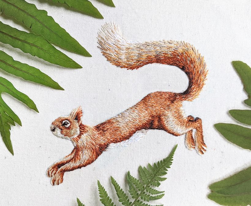 Squirrel Project For Chloe Giordano's Class 13