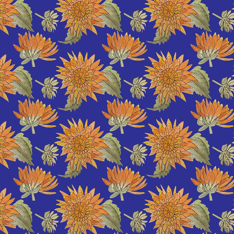 Mein Kursprojekt: Botanisches Zeichenheft: ein meditativer Ansatz 1