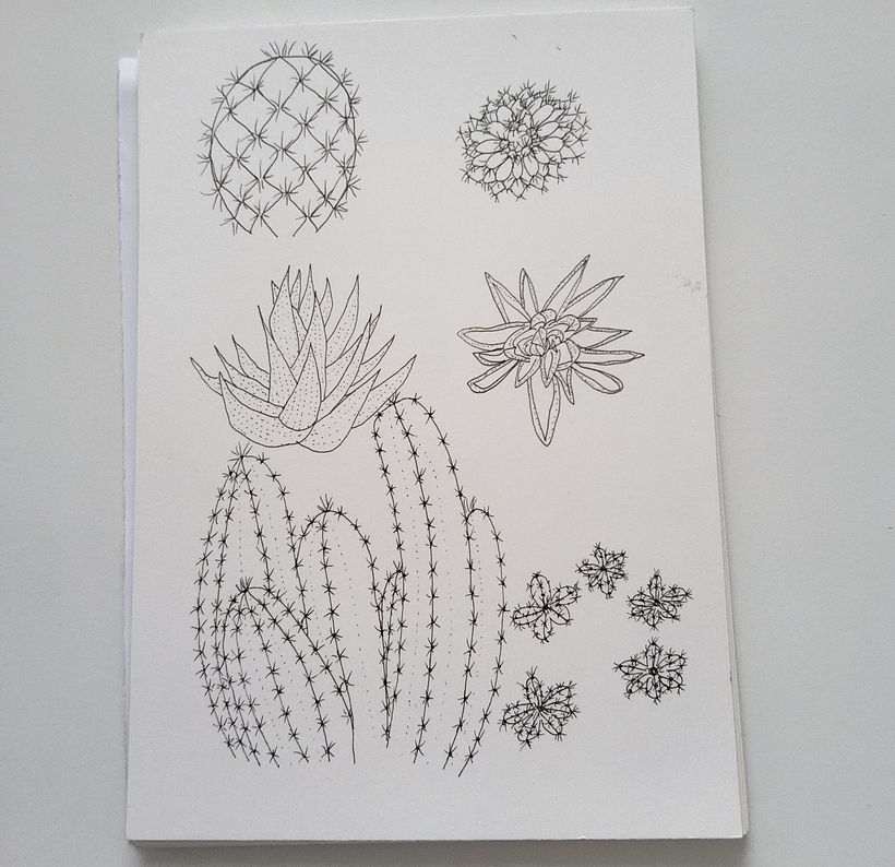 Mein Kursprojekt: Botanisches Zeichenheft: ein meditativer Ansatz 6