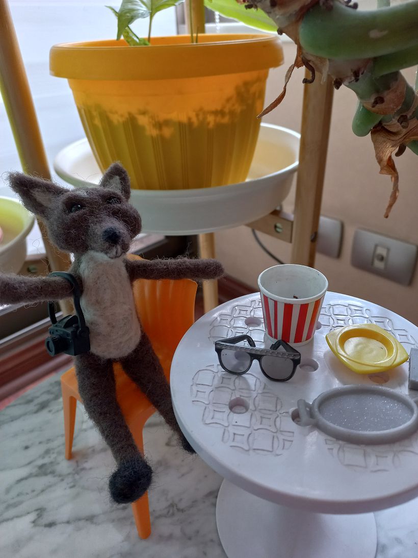 aqui mi zorro tipo Lobo jaja  relajado en sus vacaciones