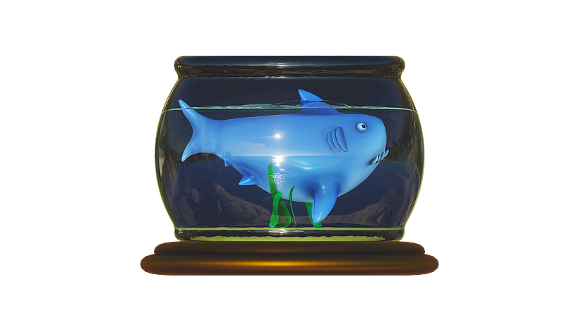 Shark - nomad sculpt 4