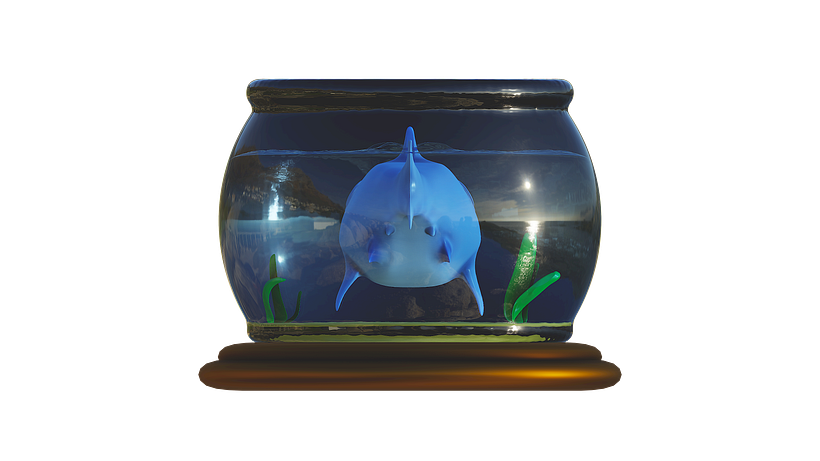 Shark - nomad sculpt 6