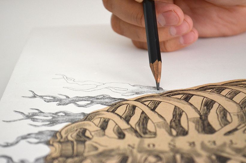 Detalles