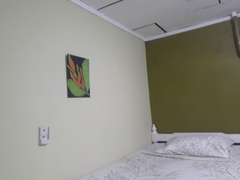 HOSPEDAJE LORITO VERDE COSTA RICA.  - Interior Architecture
