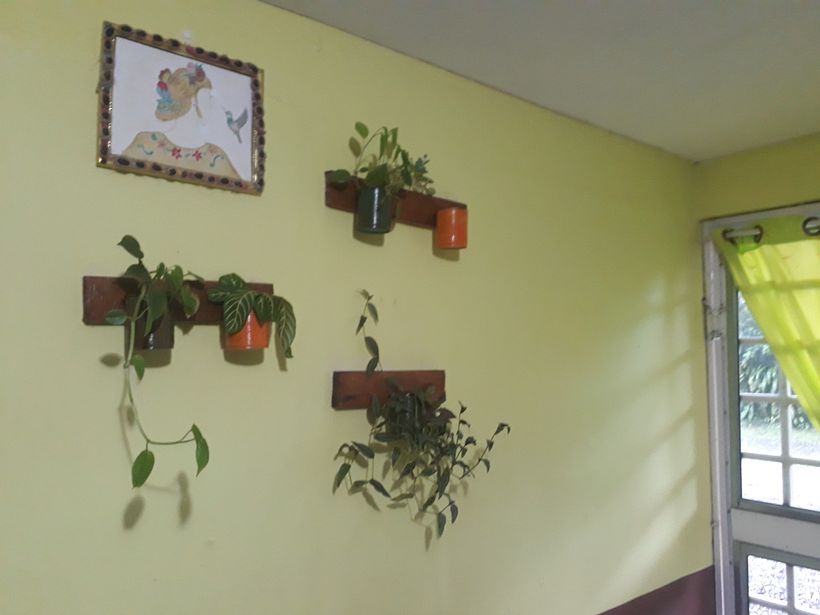 HOSPEDAJE LORITO VERDE COSTA RICA.  - Interior Architecture