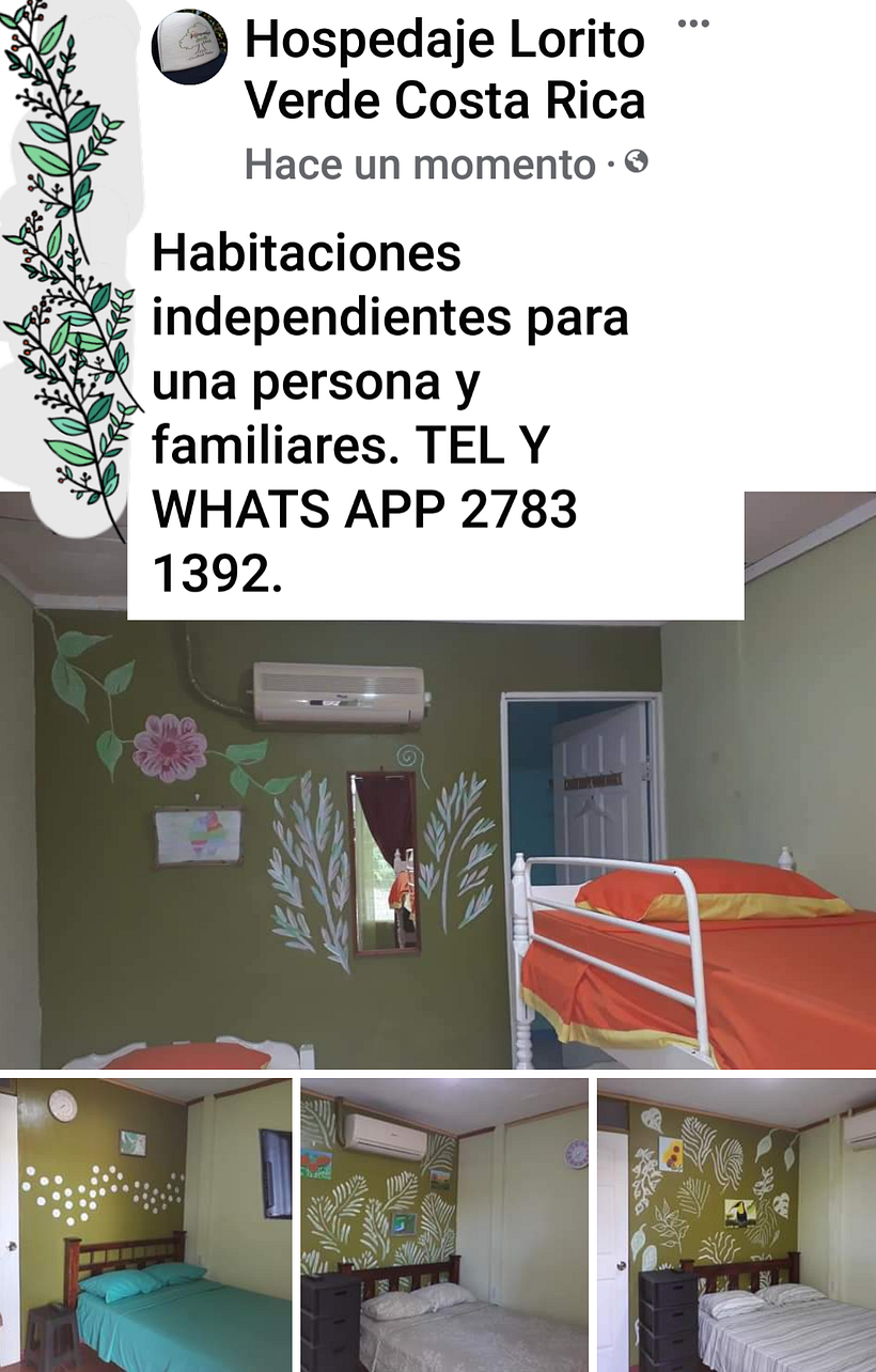 HOSPEDAJE LORITO VERDE COSTA RICA.  - Interior Architecture